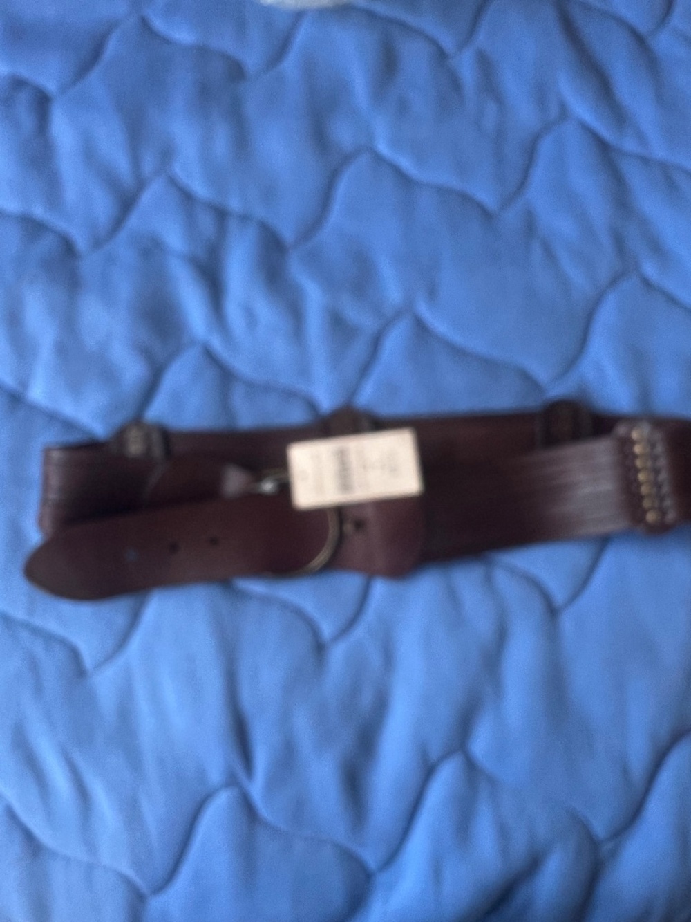 Coldwater Creek Nailhead Hipslung Leather Belt